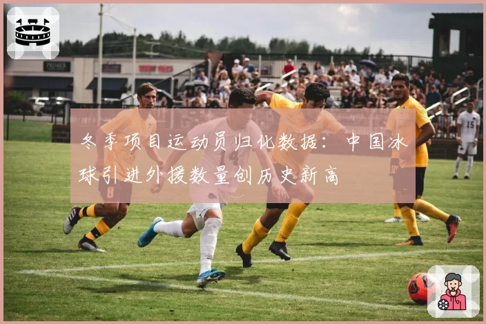 冬季项目运动员归化数据:中国冰球引进外援数量创历史新高